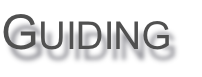 Guiding
