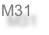 M31
