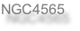 NGC4565
